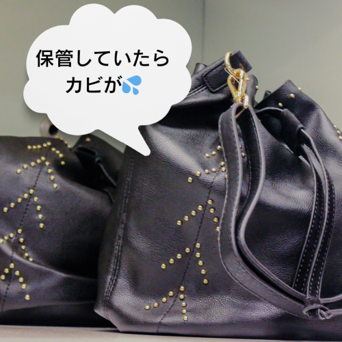 バレンシアガのバッグのカビ