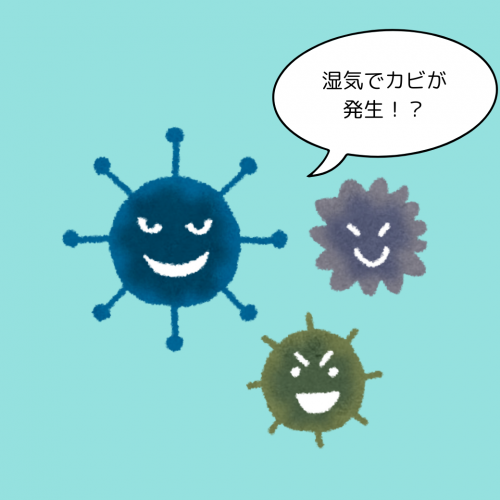 湿気でカビが増殖