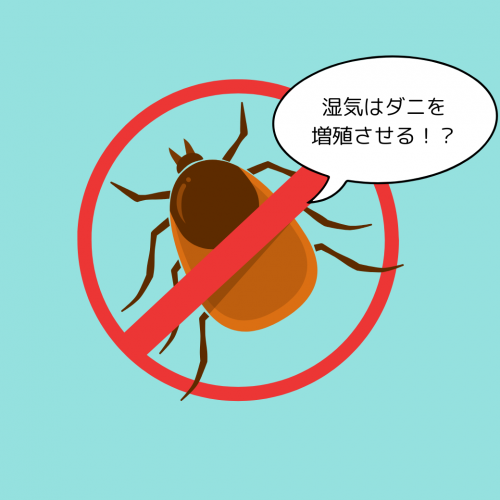 湿気はダニを増殖させる