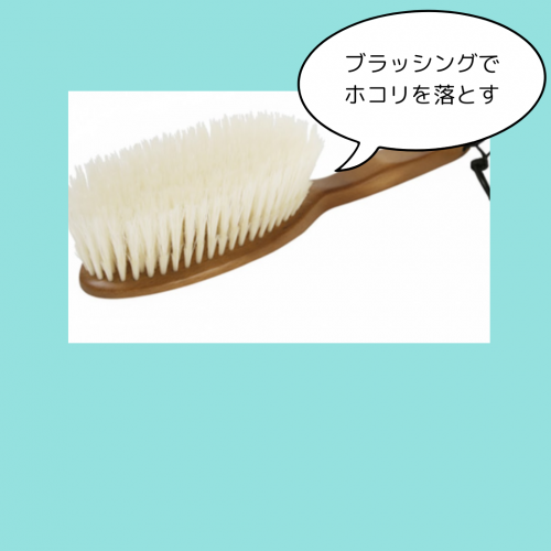 ブラッシングでホコリを落とす