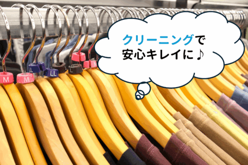 大量の服の収納はクリーニングと整理をセットで！記事イメージ画像3