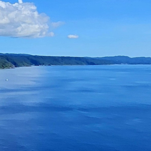除菌・除ウイルス洗浄