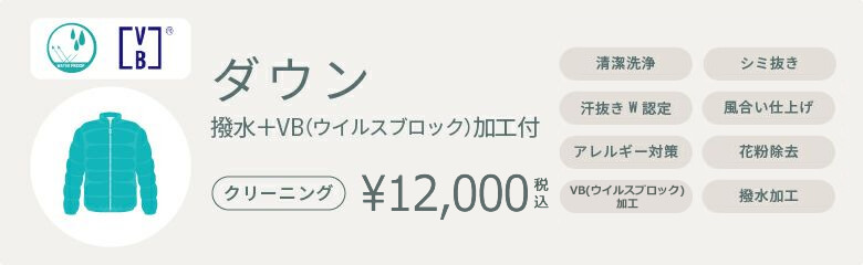 ダウン宅配クリーニング