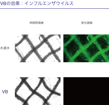 宅配クリーニングニックのVB加工(ウイルスブロック加工)衣類の感染対策実証データ2